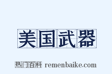 美国武器是什么意思的图片